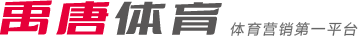 勒沃库森V
